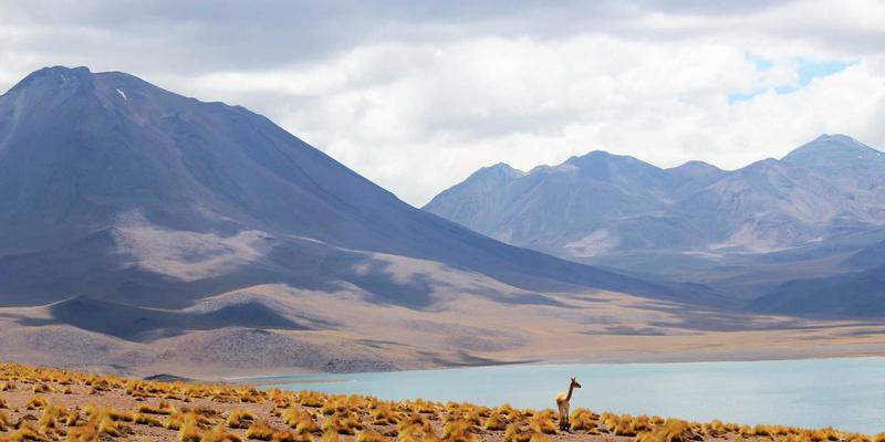 AI驱动的网络流量分析与异常检测：提升SOC效率的实战指南