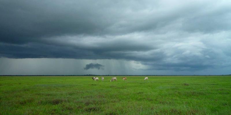 H0517与网络技术指南：IT资源整合与未来网络架构解析