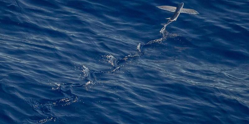 H0517系统管理实战：网络技术68时代的高效运维指南