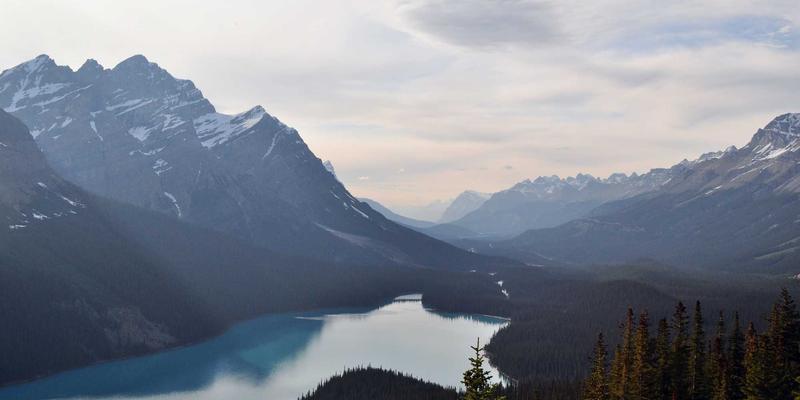 H0517网络技术入门指南：从零开始掌握联网基础