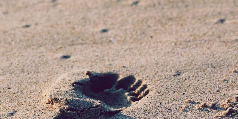 H0517网络技术深度解析：从基础概念到实战配置的完整指南