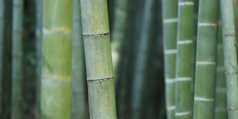 Network Technology 51：系统管理、网络指南与IT资源的融合之道