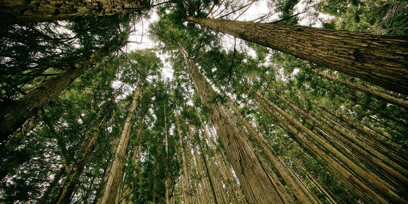 Network Technology最佳实践：优化H0517架构与IT资源管理