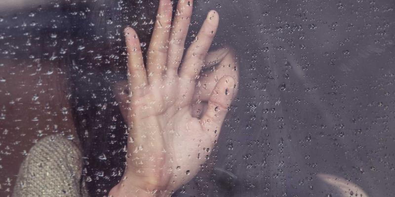 Network Technology评测：整合IT Resources与H0517方案，筑牢Cybersecurity防线