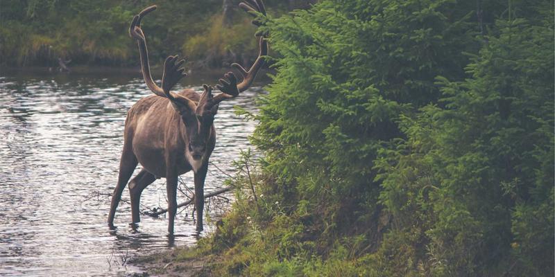SD-WAN与SASE融合趋势：构建下一代企业安全网络边界的实践路径