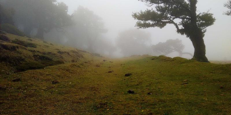 基于数字孪生的网络仿真与建模：在部署前优化架构与预测性能的实战教程