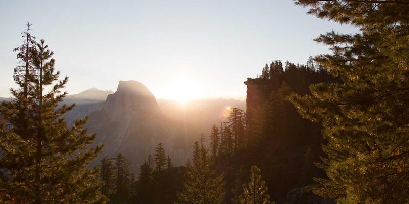 数据中心网络架构深度解析：从叶脊拓扑到可编程交换机的演进与实践指南