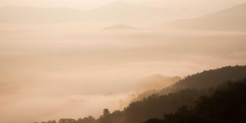 网络性能管理（NPM）与可观测性：利用AI实现主动式故障预测与定位的终极指南