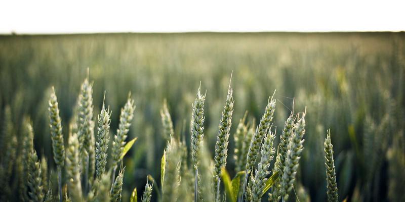 网络技术入门与网络安全实践指南：从基础配置到主动防御