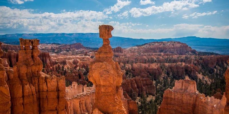 网络技术完全指南:从基础概念到IT资源整合